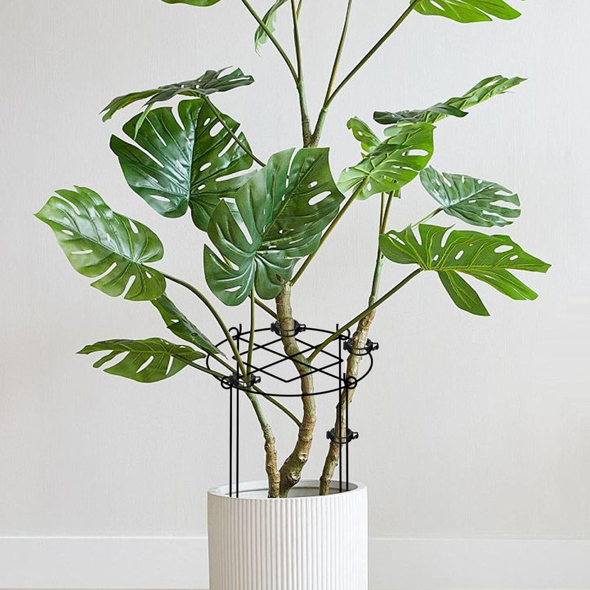 Peony Cages and Supports, Heavy Duty Metal Plant Support