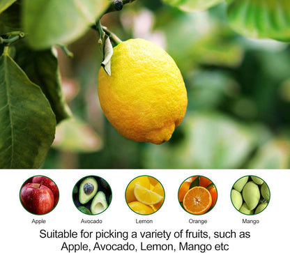 Fruit Picker Pole with Basket