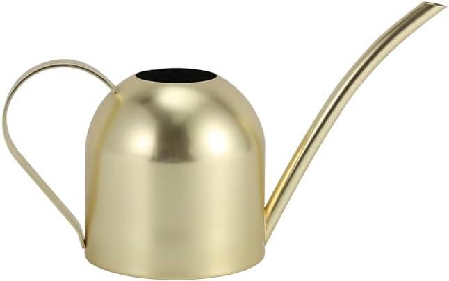 Stainless Steel Water Can for Indoor Plants and Garden
