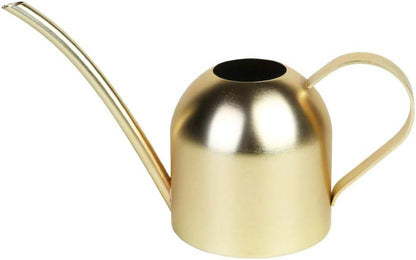 Stainless Steel Water Can for Indoor Plants and Garden