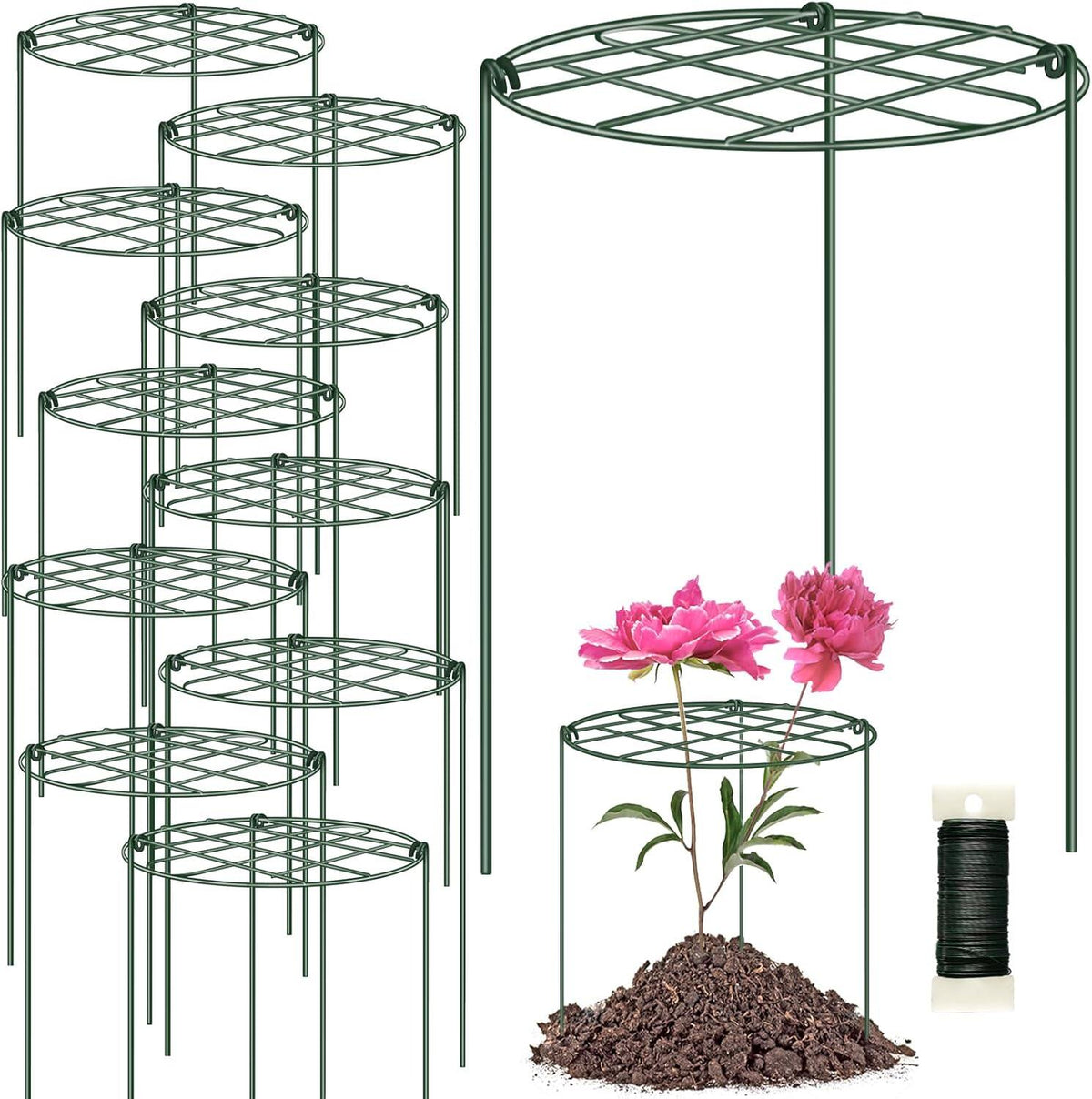 Peony Cages and Supports Grow Through Plant Supports