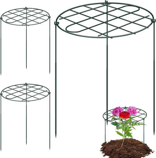 Peony Cages and Supports Grow Through Plant Supports