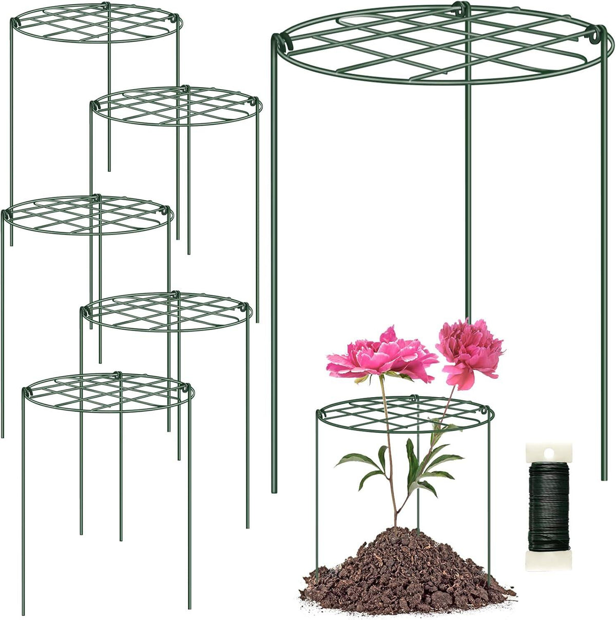 Peony Cages and Supports Grow Through Plant Supports