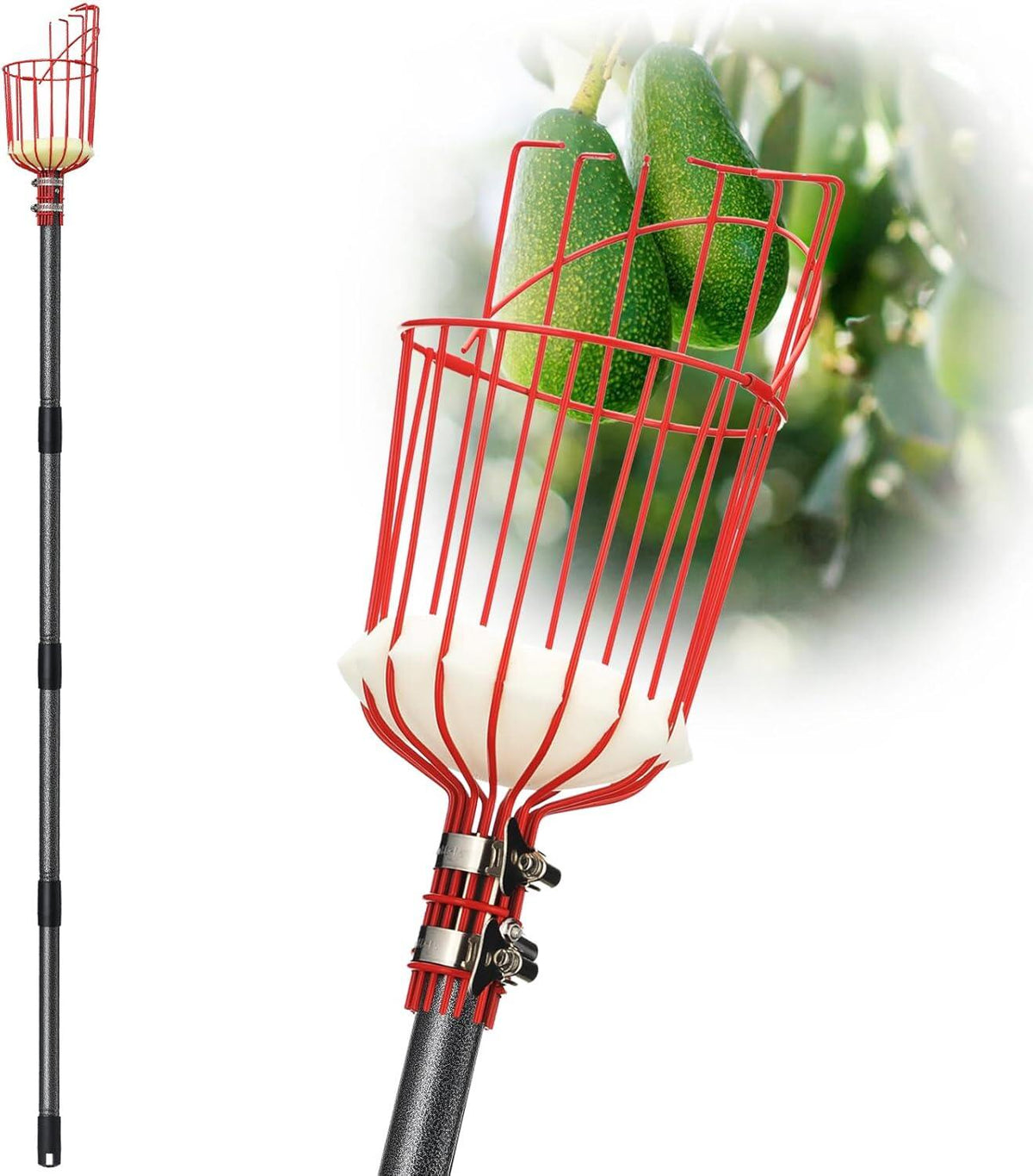 Fruit Picker Pole Tool with Basket Long Handle