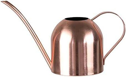 Stainless Steel Water Can for Indoor Plants and Garden
