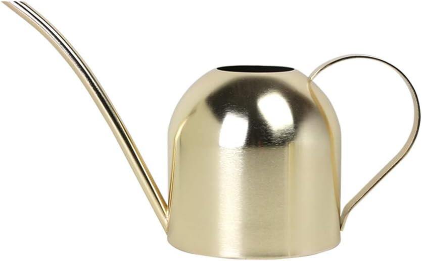 Stainless Steel Water Can for Indoor Plants and Garden