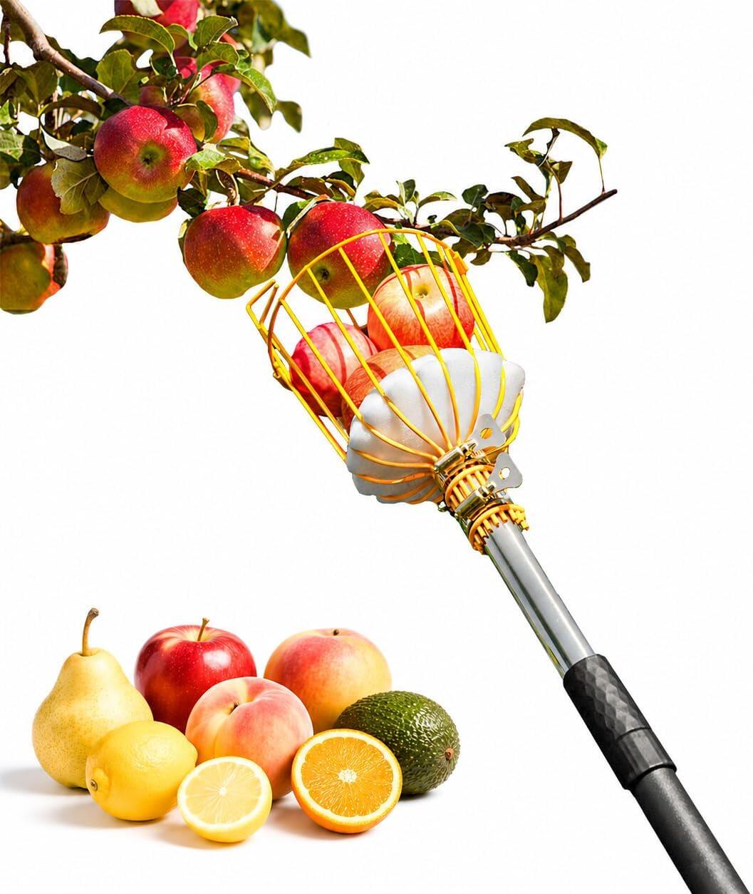 Fruit Picker Pole Tool with Basket