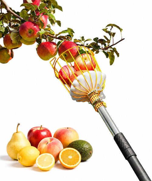 Fruit Picker Pole Tool with Basket