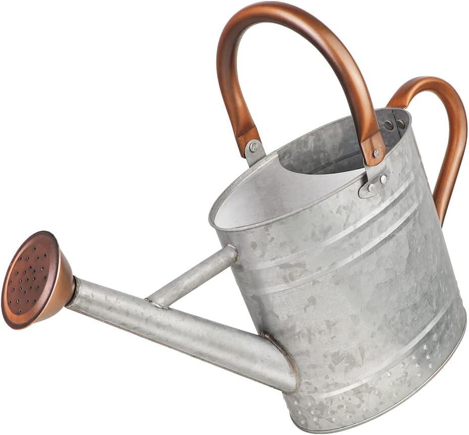 Gallon Metal Watering Can with Removable Spout