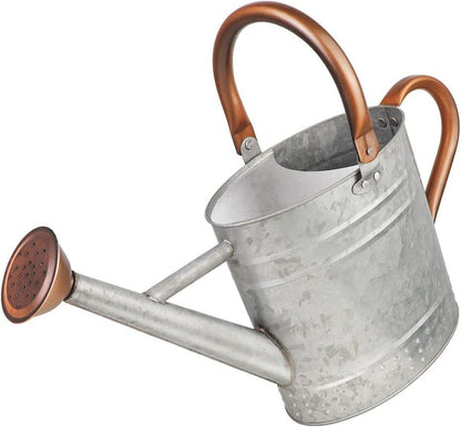 Gallon Metal Watering Can with Removable Spout