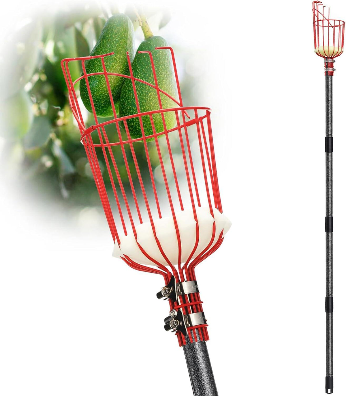 Fruit Picker Pole Tool with Basket Long Handle