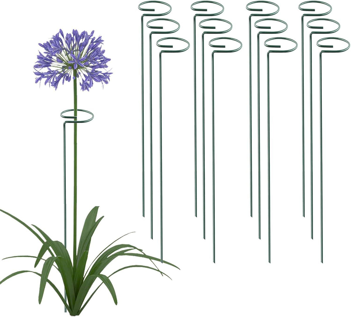 Plant Support Stake Garden Single stemmed Plant Support Hoops Plant Prop