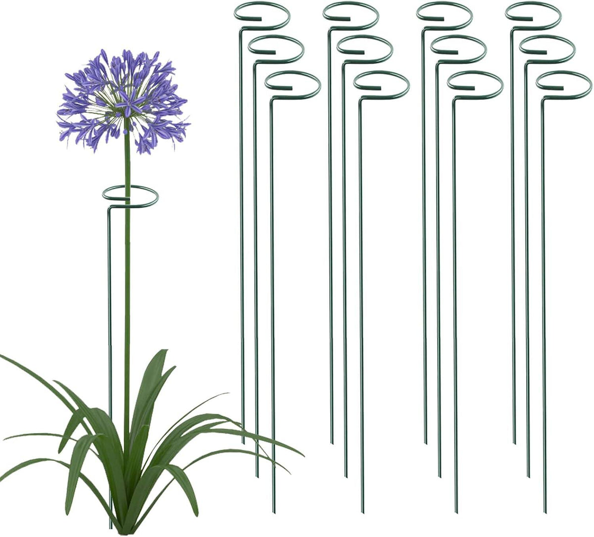 Plant Support Stake Garden Single stemmed Plant Support Hoops Plant Prop