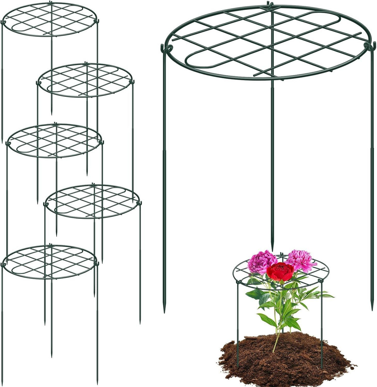 Peony Cages and Supports Grow Through Plant Supports
