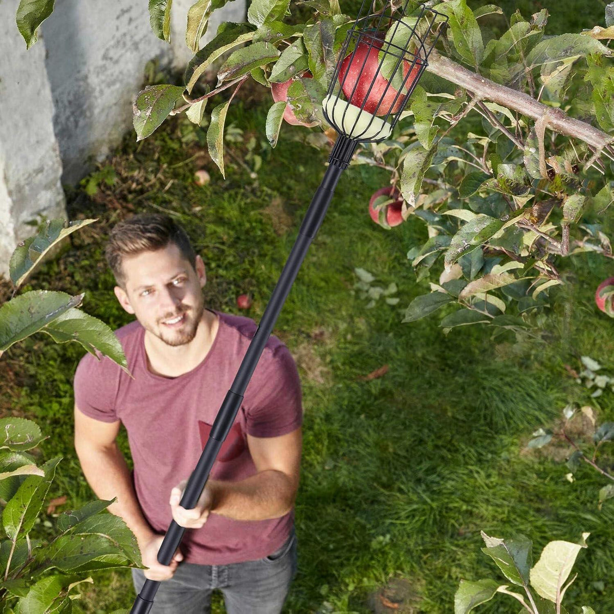 Fruit Picker Pole with Basket
